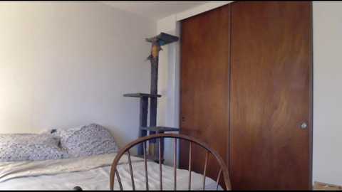 Media: charlotte1996 Chaturbate 2023-10-25 00:48:00