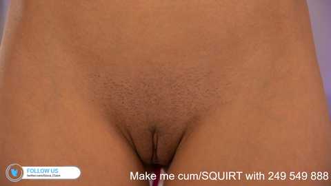 Media: dovia Chaturbate 2023-10-26 17:08:00