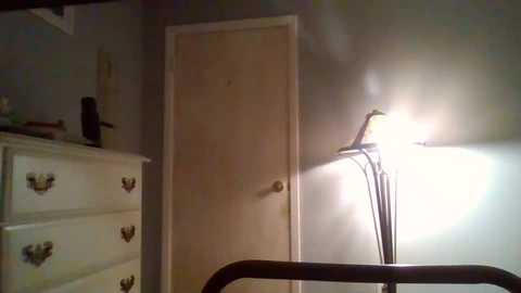 femboymat @ chaturbate on 20231026