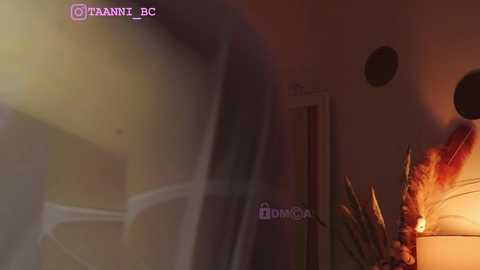 Media: taanni_bc Chaturbate 2023-10-27 02:18:00