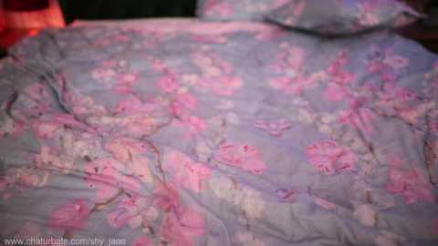 Media: shy_jane Chaturbate 2023-10-28 07:02:00