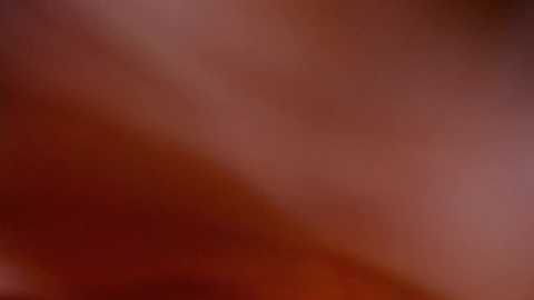 Media: cinnabelle Chaturbate 2023-10-29 21:42:00