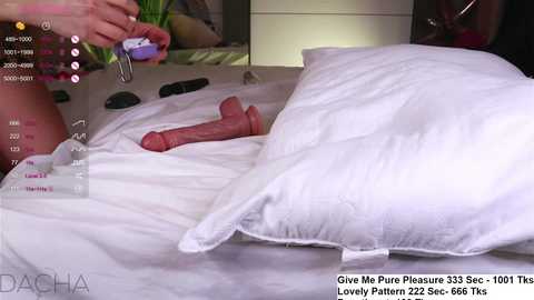 Media: islandladies Chaturbate 2023-10-30 11:56:00