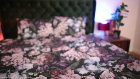 Media: shy_jane Chaturbate 2023-10-30 05:38:00