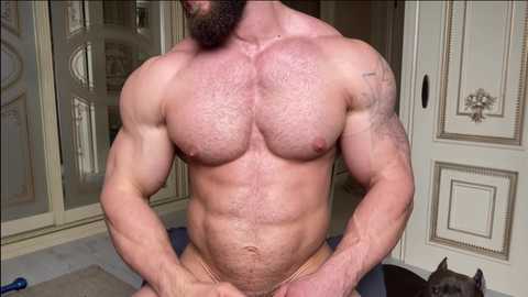Media: mike0xx Chaturbate 2023-11-01 10:34:00