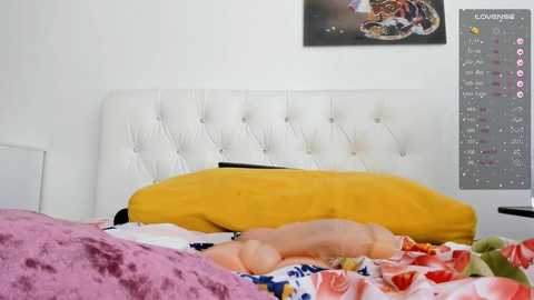 Media: _timeless_paradox Chaturbate 2023-11-02 11:06:00