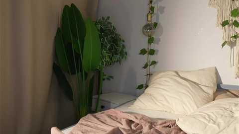 Media: eli_sun Chaturbate 2023-11-02 13:58:00