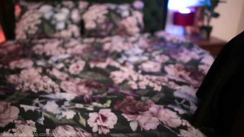 Media: shy_jane Chaturbate 2023-11-02 02:55:00