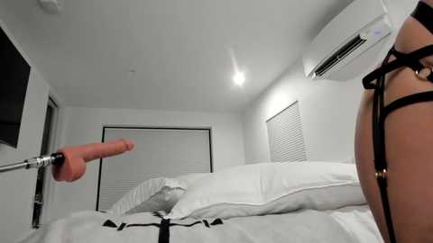 Media: dannidaniels Chaturbate 2023-11-04 02:44:00