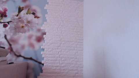 Media: mazzanti_ Chaturbate 2023-11-04 08:26:00