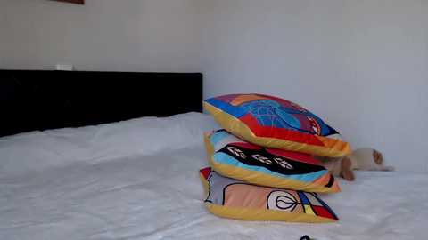 Media: hugetittiesgerda Chaturbate 2023-11-05 10:56:00