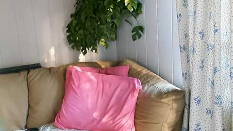 Media: joannadea Chaturbate 2023-11-05 14:48:00