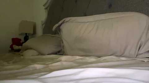 Media: x_dreamgirl_x Chaturbate 2023-11-05 07:44:00