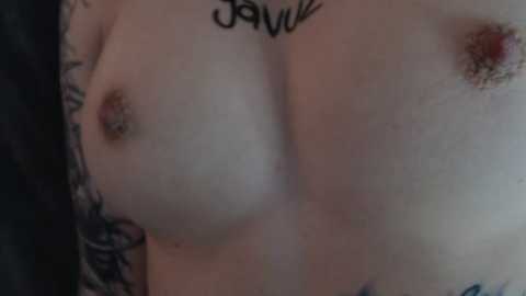 Media: charlotte_germanotta_ Chaturbate 2023-11-06 17:14:00