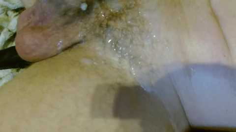 Media: kylechat Chaturbate 2023-11-06 06:18:00