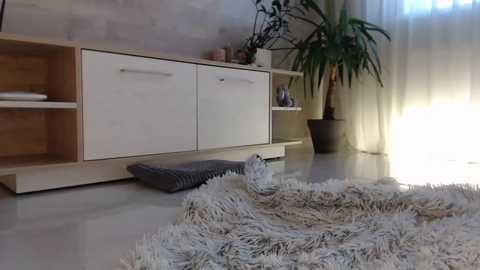 Media: meryfoxxx Chaturbate 2023-11-06 14:18:00