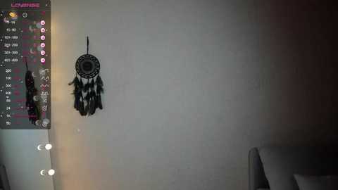 Media: euphoria_life Chaturbate 2023-11-08 00:07:00
