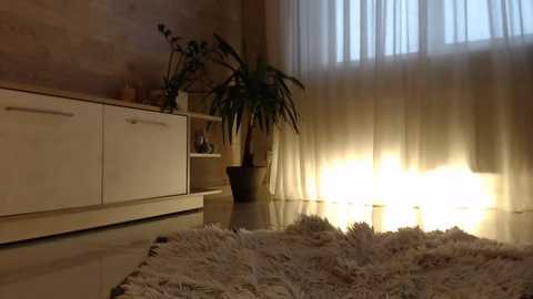 Media: meryfoxxx Chaturbate 2023-11-08 14:00:00