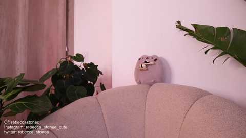 Media: rebeccastonee Chaturbate 2023-11-08 22:40:00