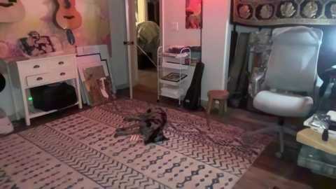 Media: kaileeshy Chaturbate 2023-11-09 04:21:00