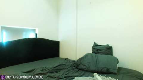 Media: oliviaowens Chaturbate 2023-11-09 06:13:00