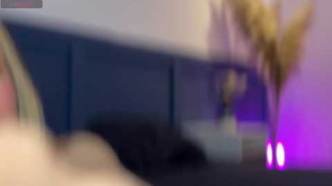 Media: forbidden_affair Chaturbate 2023-11-10 19:20:00