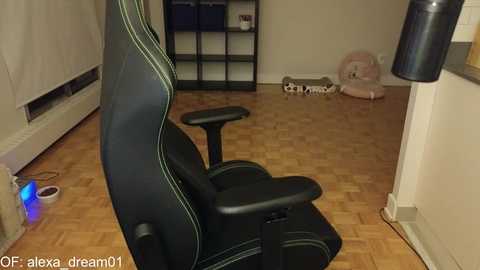 Media: alexa_dream Chaturbate 2023-11-11 03:34:00