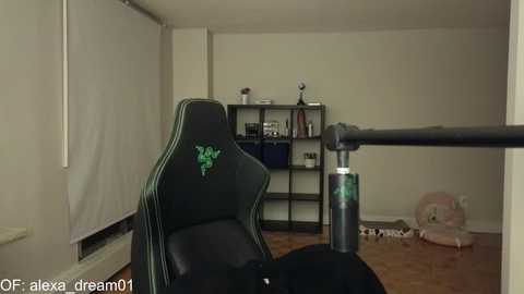 Media: alexa_dream Chaturbate 2023-11-11 04:32:00