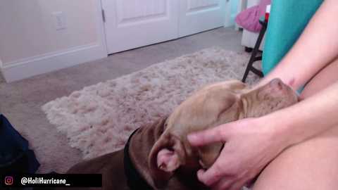 Media: holihurricane Chaturbate 2023-11-11 07:21:00