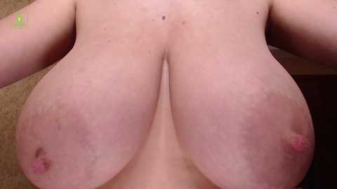 Media: incrediblyomelia Chaturbate 2023-11-12 21:14:00