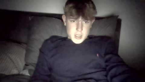 Media: rhys200411 Chaturbate 2023-11-13 01:42:00