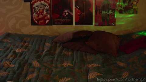 Media: _northern_girl_ Chaturbate 2023-11-15 16:48:00