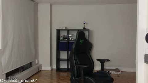 Media: alexa_dream Chaturbate 2023-11-16 00:50:00