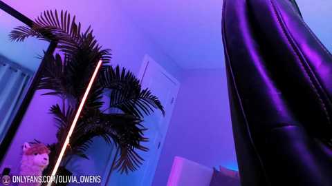 Media: oliviaowens Chaturbate 2023-11-16 04:34:00