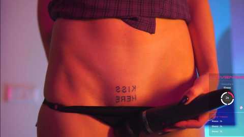 Media: _taylor_swift Chaturbate 2023-11-17 04:18:00