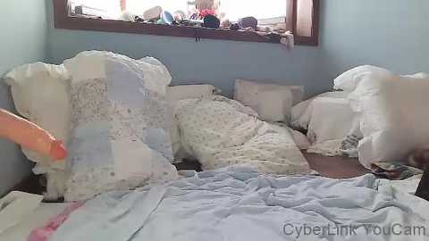 Media: lilrosiedoll Chaturbate 2023-11-17 17:28:00