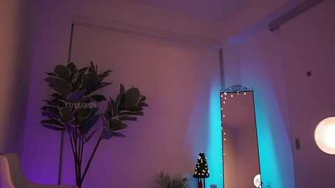 Media: letiziafulkers1 Chaturbate 2023-11-18 00:00:00