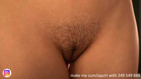 Media: dovia Chaturbate 2023-11-19 21:48:00