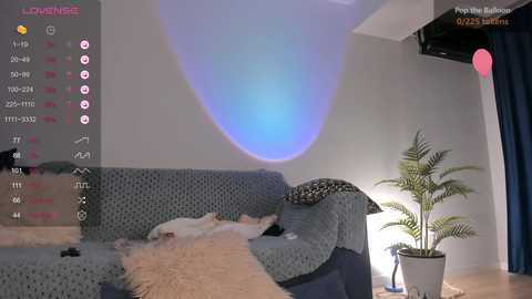 Media: iminako Chaturbate 2023-11-19 17:08:00