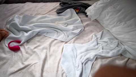 Media: littlegreekflower Chaturbate 2023-11-19 17:13:00