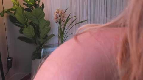 Media: nancydiamonds1 Chaturbate 2023-11-19 16:36:00