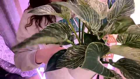 Media: emersoncane Chaturbate 2023-11-20 22:15:00