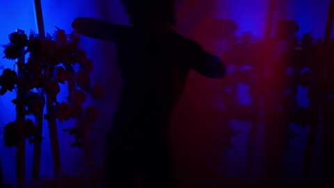 Media: hannasthesia Chaturbate 2023-11-20 03:45:00