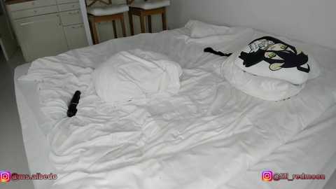 Media: lili_and_niki Chaturbate 2023-11-20 21:09:00