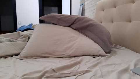 Media: apollobest77 Chaturbate 2023-11-21 00:30:00