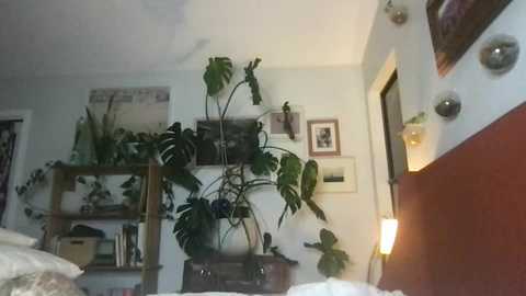 Media: themarilynm Chaturbate 2023-11-21 02:58:00