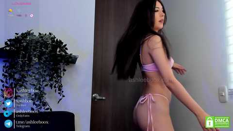 Media: ashleycat9 Chaturbate 2023-11-23 16:39:00
