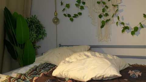 Media: eli_sun Chaturbate 2023-11-23 14:16:00