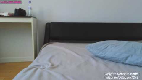 Media: cbhotblonde Chaturbate 2023-11-24 12:14:00