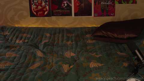 Media: _northern_girl_ Chaturbate 2023-11-25 14:51:00